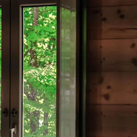 Fitzgerald Building - The House Of Travelers *